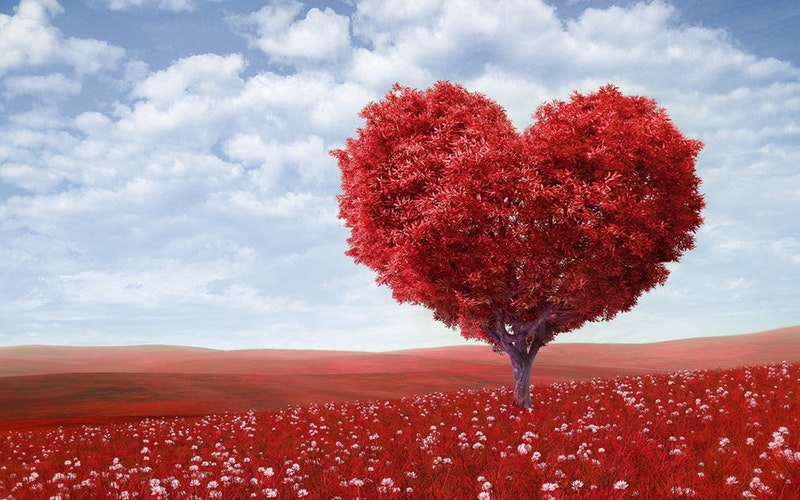 sufrir por amor